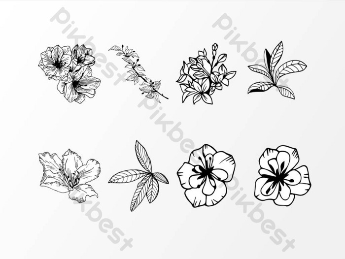 Detail Sketsa Bunga Gambar Tangan Nomer 49