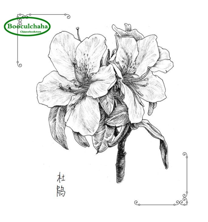 Detail Sketsa Bunga Hitam Putih Nomer 51