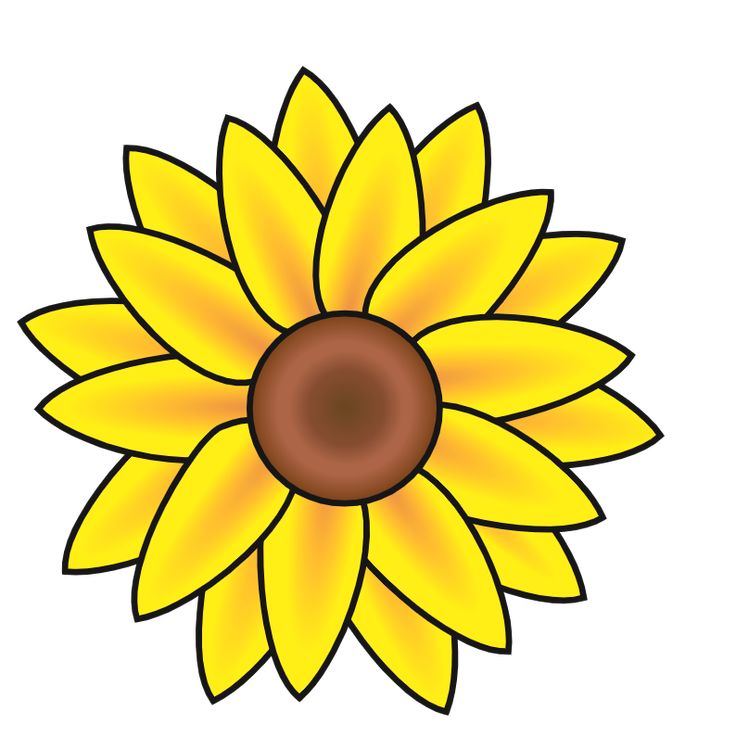 Detail Sketsa Bunga Matahari Nomer 22