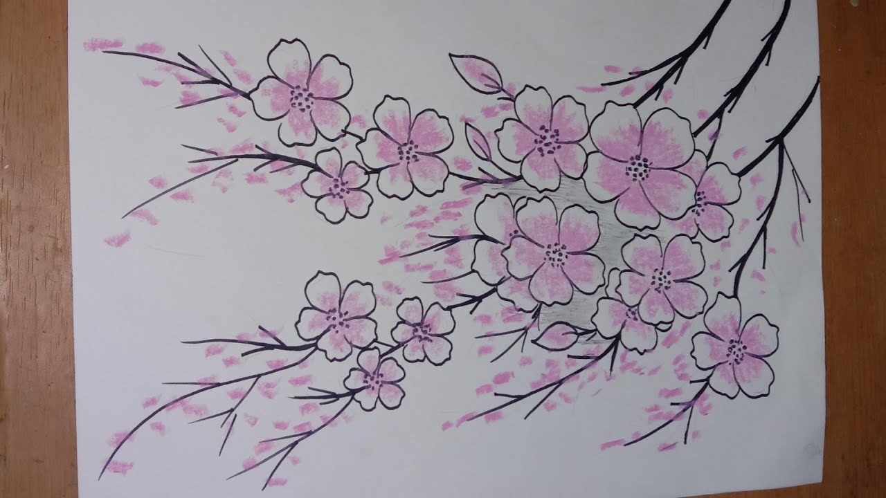 Detail Sketsa Bunga Sakura Nomer 14