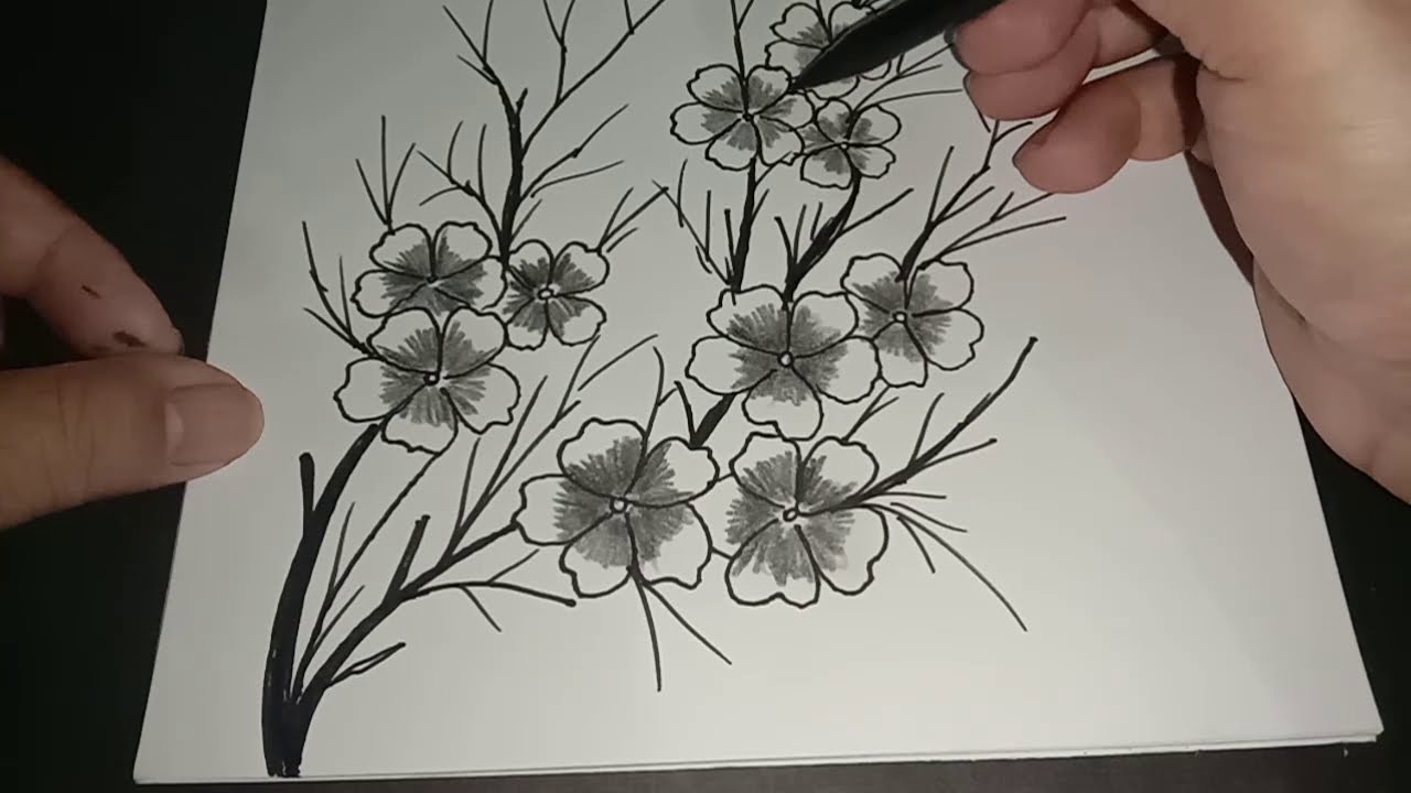 Detail Sketsa Bunga Sakura Nomer 3