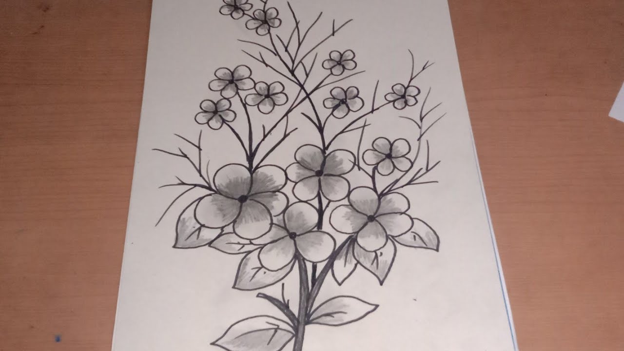 Detail Sketsa Bunga Sakura Nomer 23