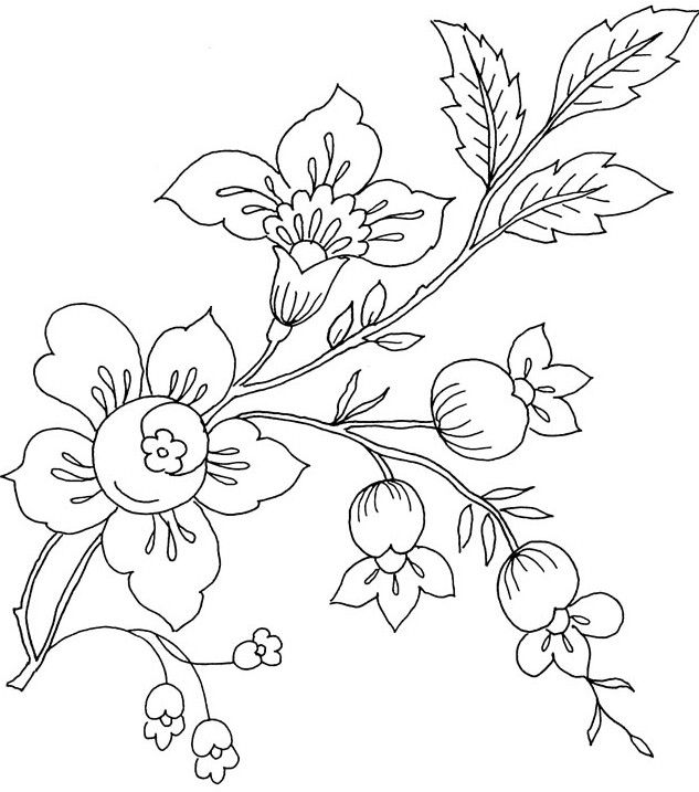 Detail Sketsa Bunga Sakura Nomer 29