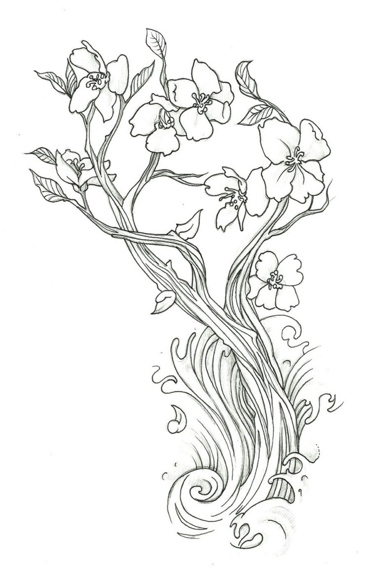 Detail Sketsa Bunga Sakura Nomer 31