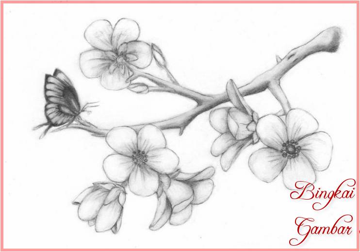 Detail Sketsa Bunga Sakura Nomer 42