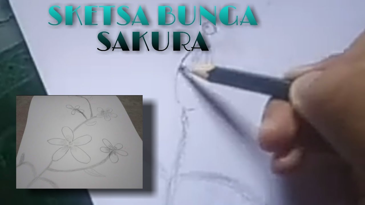 Detail Sketsa Bunga Sakura Nomer 51