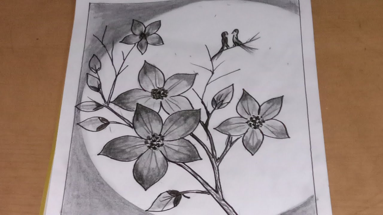 Detail Sketsa Bunga Sakura Nomer 7