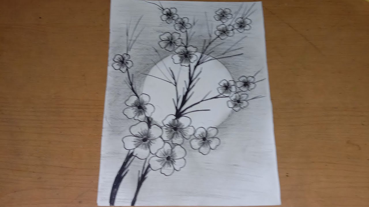 Detail Sketsa Bunga Sakura Nomer 10