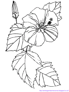 Detail Sketsa Bunga Sepatu Nomer 7