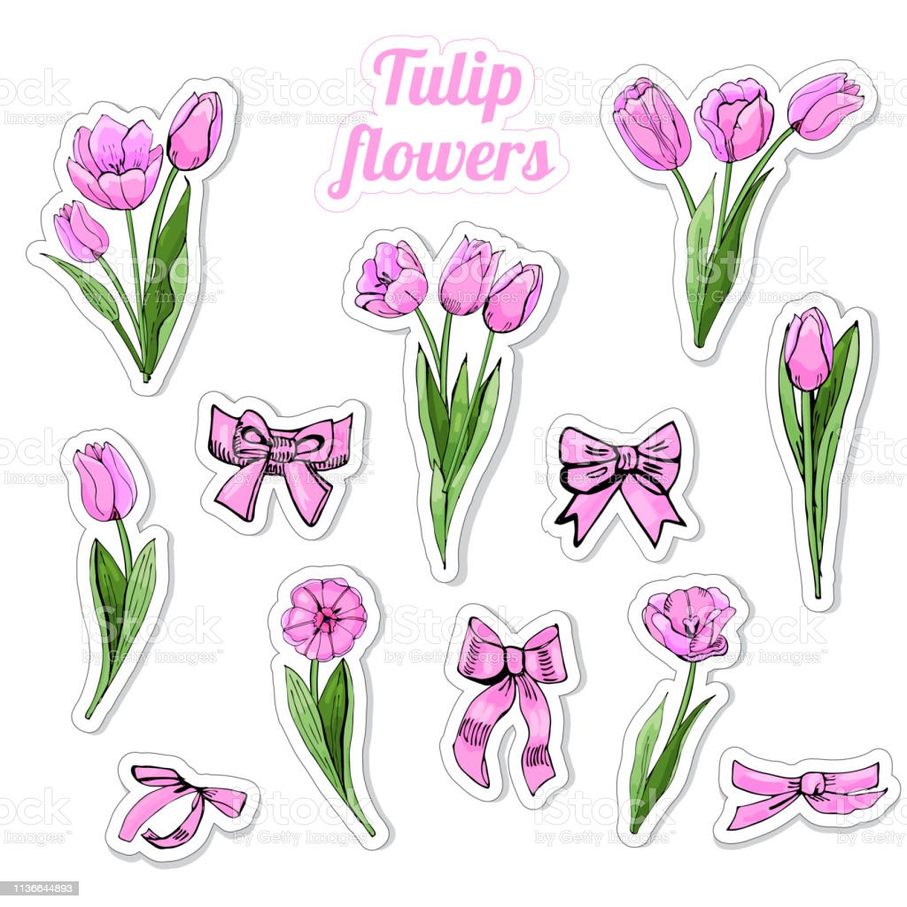 Detail Sketsa Bunga Tulip Nomer 55