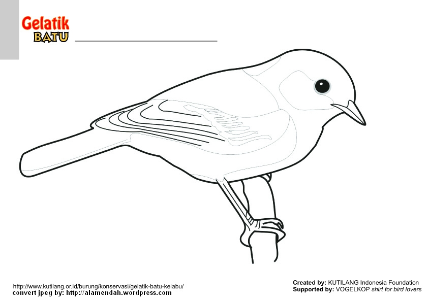 Detail Sketsa Burung Pipit Nomer 23