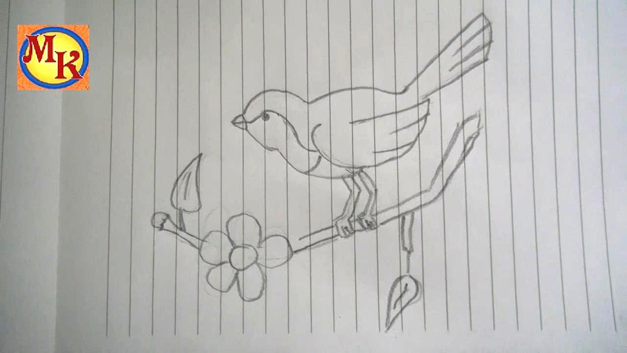Detail Sketsa Burung Pipit Nomer 34