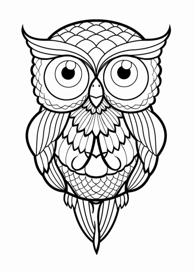 Detail Sketsa Burung Pipit Nomer 43