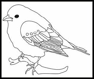 Detail Sketsa Burung Pipit Nomer 46
