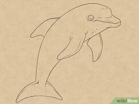 Sketsa Dolphin - KibrisPDR