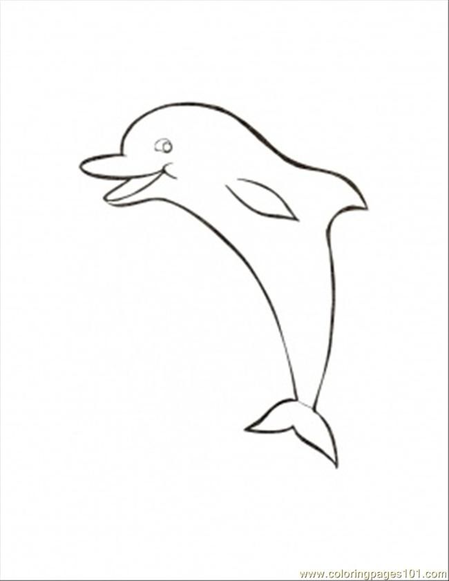 Detail Sketsa Dolphin Nomer 10