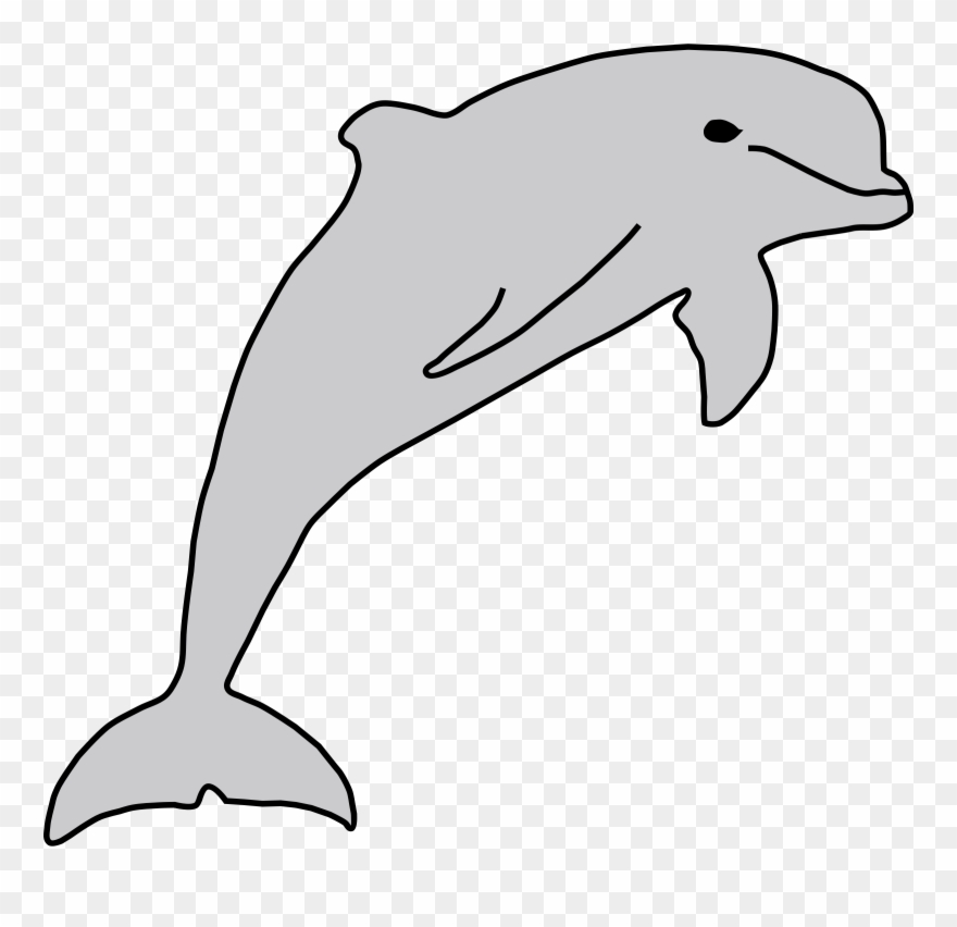 Detail Sketsa Dolphin Nomer 11