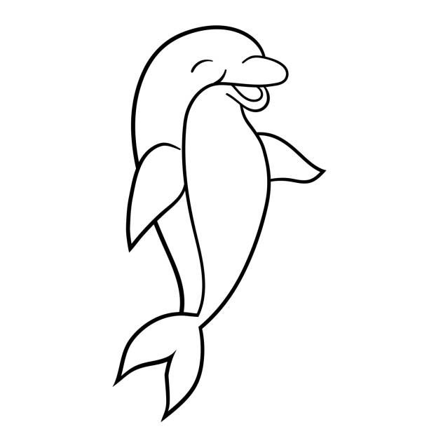 Detail Sketsa Dolphin Nomer 13