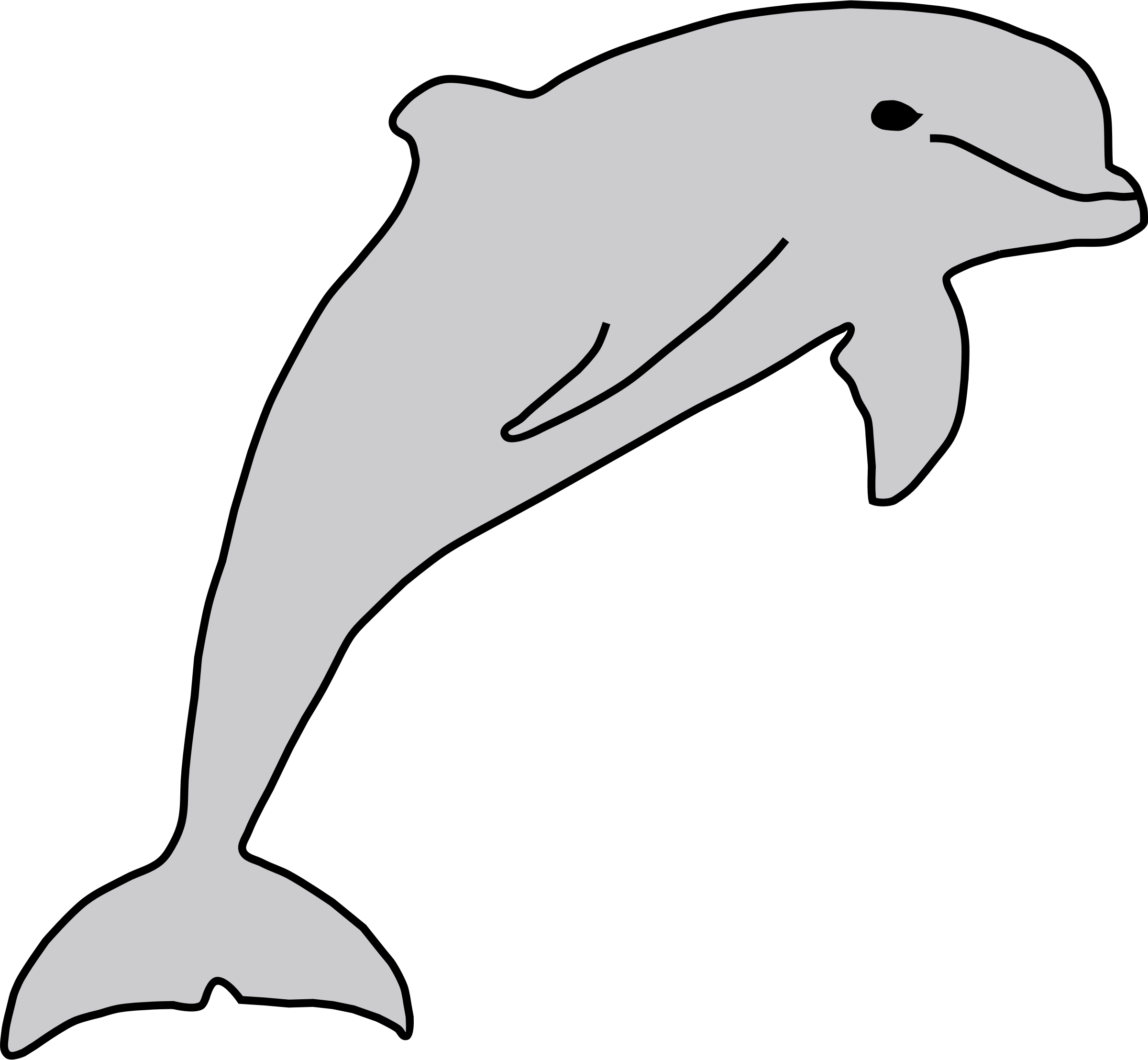 Detail Sketsa Dolphin Nomer 2