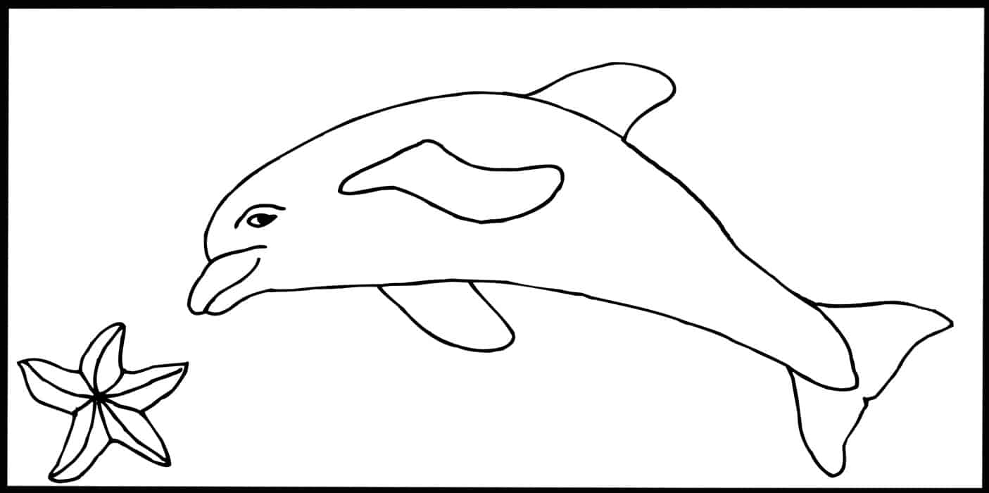 Detail Sketsa Dolphin Nomer 20