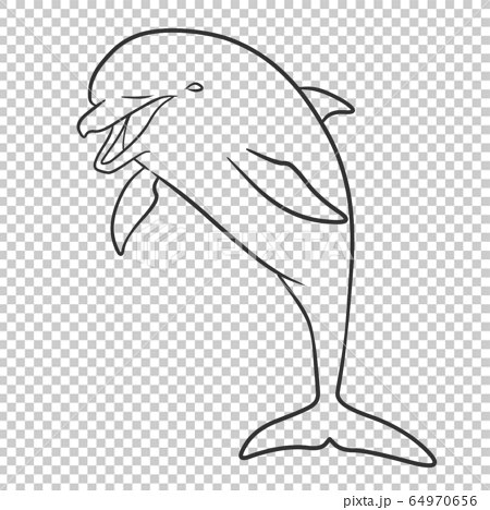 Detail Sketsa Dolphin Nomer 21