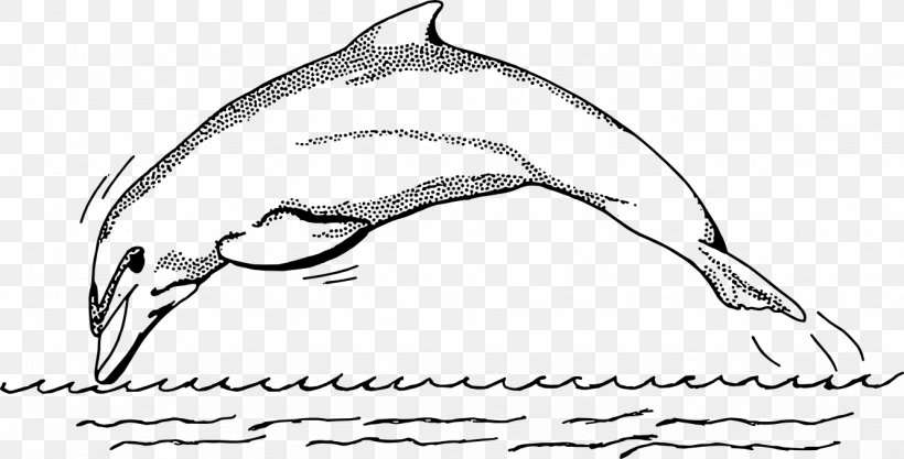Detail Sketsa Dolphin Nomer 25