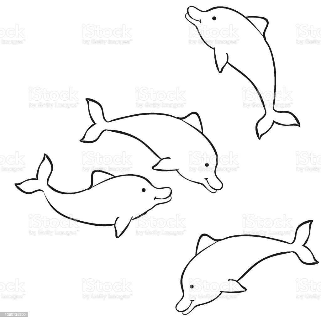 Detail Sketsa Dolphin Nomer 3