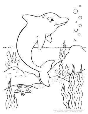 Detail Sketsa Dolphin Nomer 28