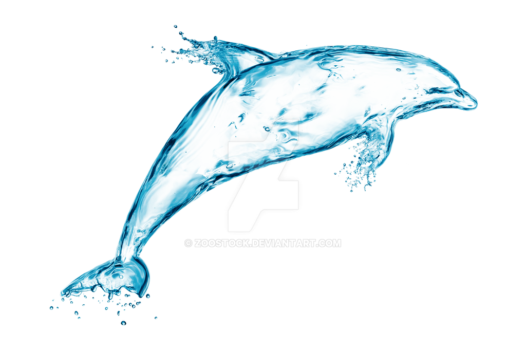 Detail Sketsa Dolphin Nomer 29
