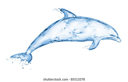 Detail Sketsa Dolphin Nomer 30