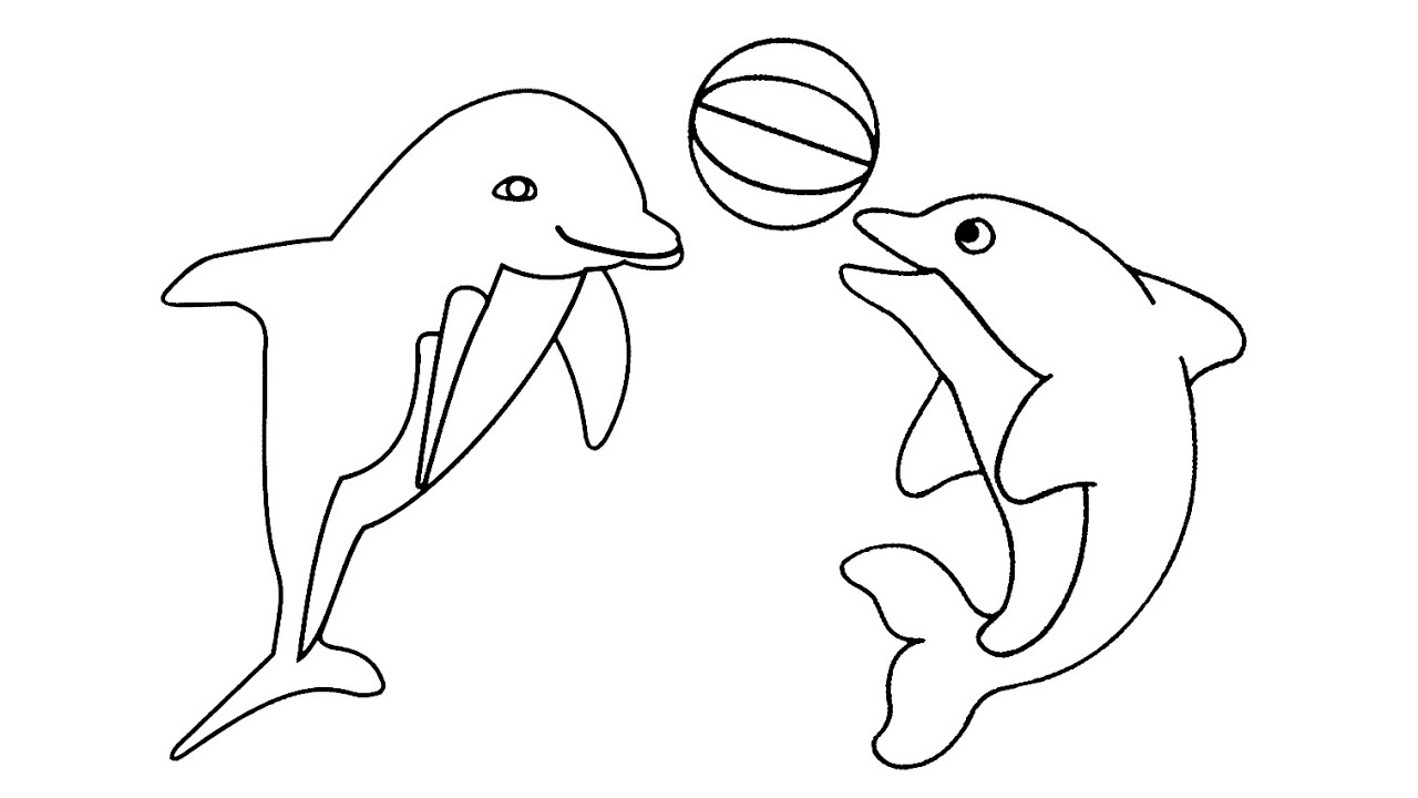 Detail Sketsa Dolphin Nomer 5