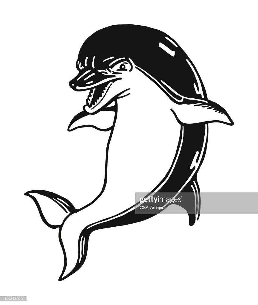 Detail Sketsa Dolphin Nomer 42