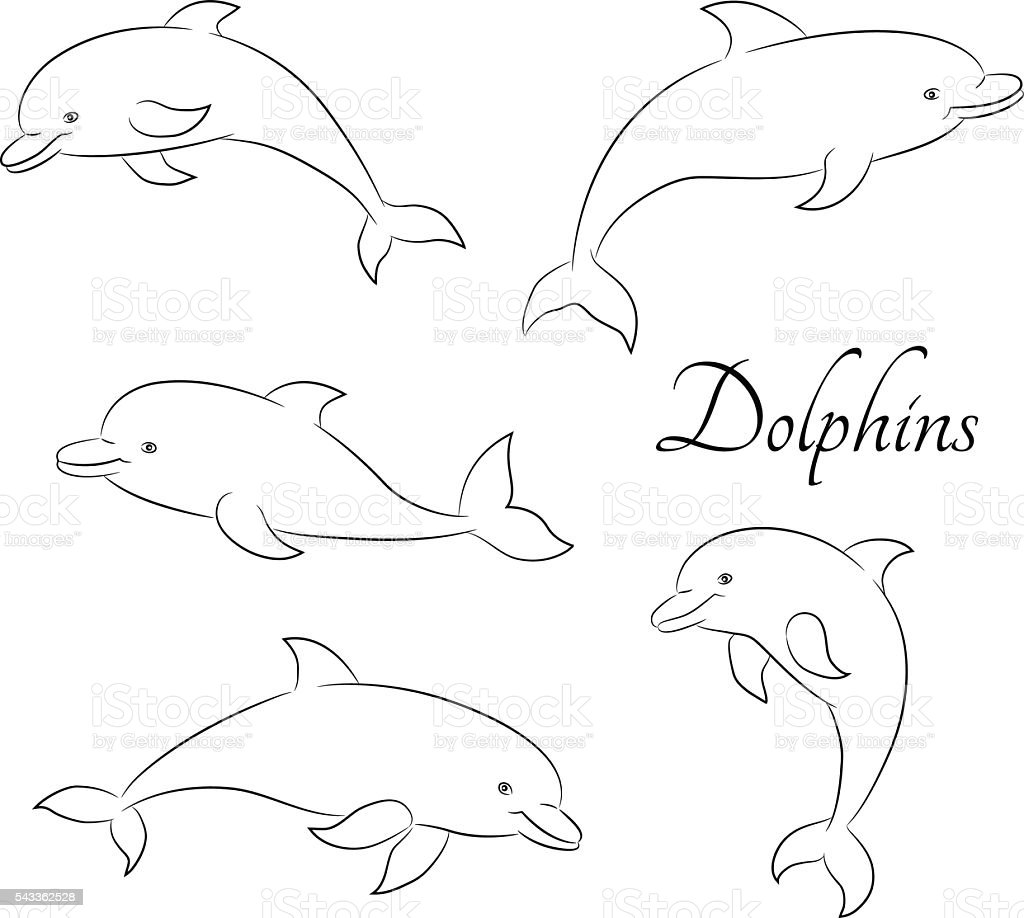 Detail Sketsa Dolphin Nomer 47