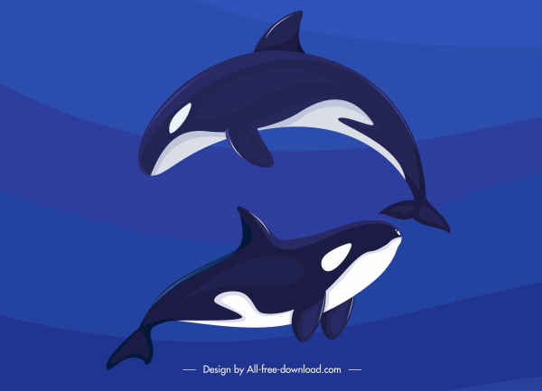 Detail Sketsa Dolphin Nomer 50