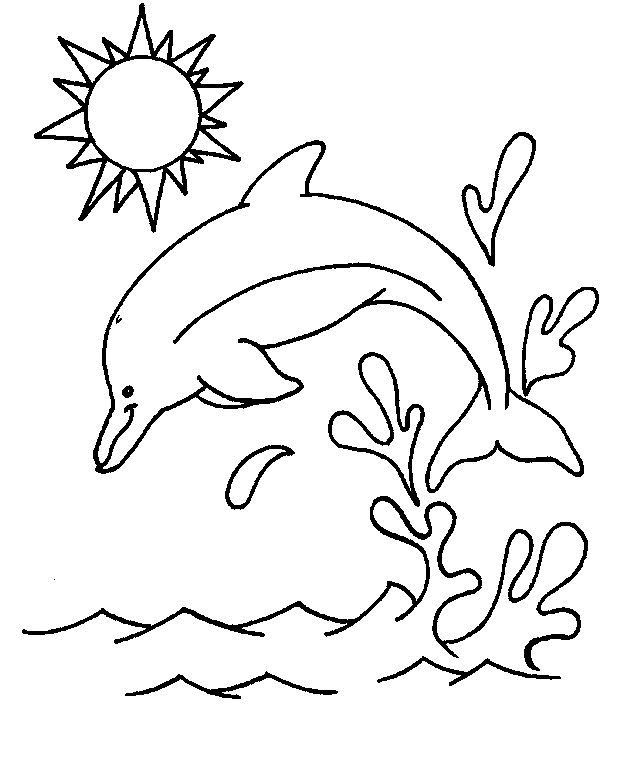 Detail Sketsa Dolphin Nomer 6