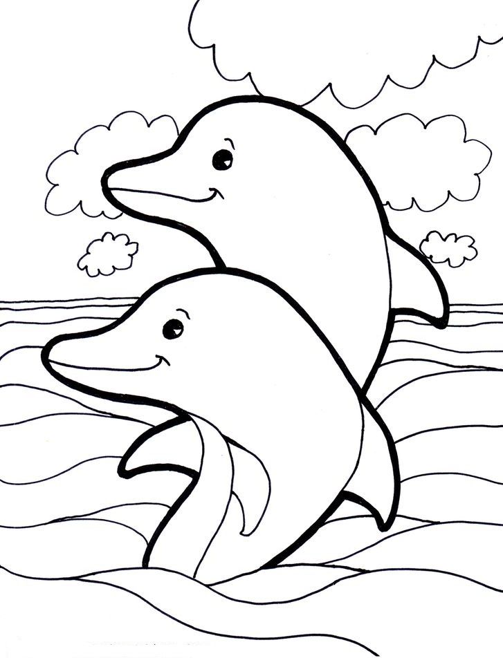 Detail Sketsa Dolphin Nomer 8