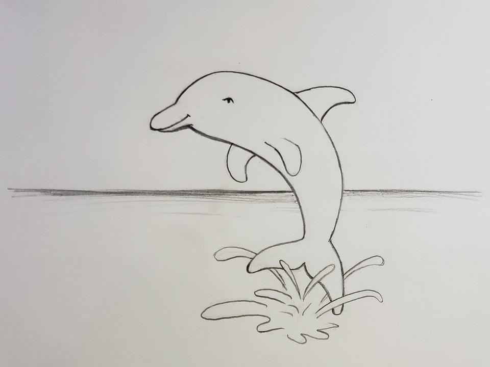 Detail Sketsa Dolphin Nomer 9