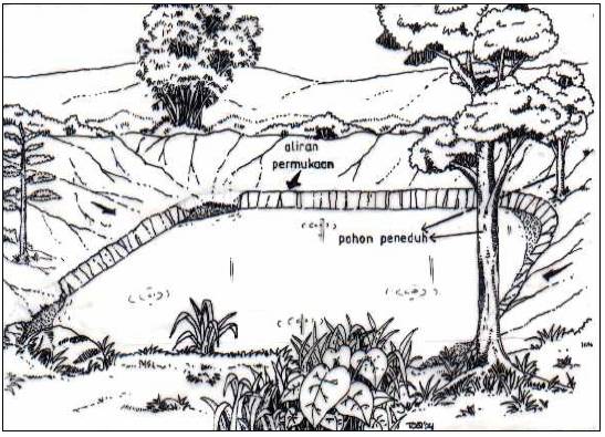 Detail Sketsa Ekosistem Kolam Sketsa Gambar Pemandangan Nomer 38