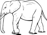 Detail Sketsa Gajah Nomer 12