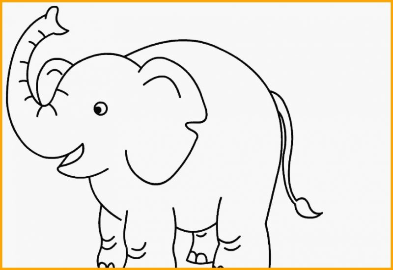 Detail Sketsa Gajah Nomer 29