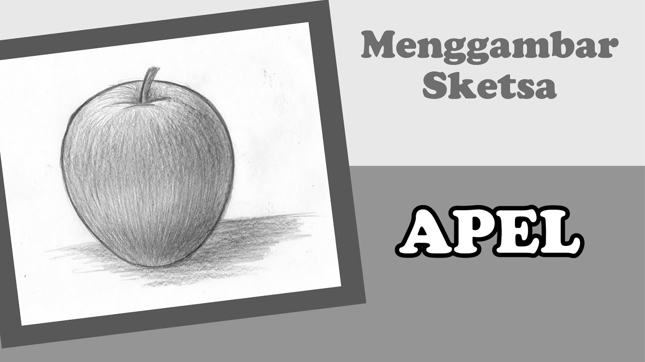 Detail Sketsa Gambar Apel Nomer 45