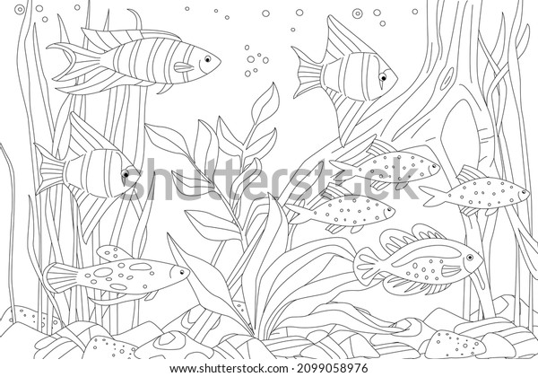 Detail Sketsa Gambar Aquarium Nomer 23