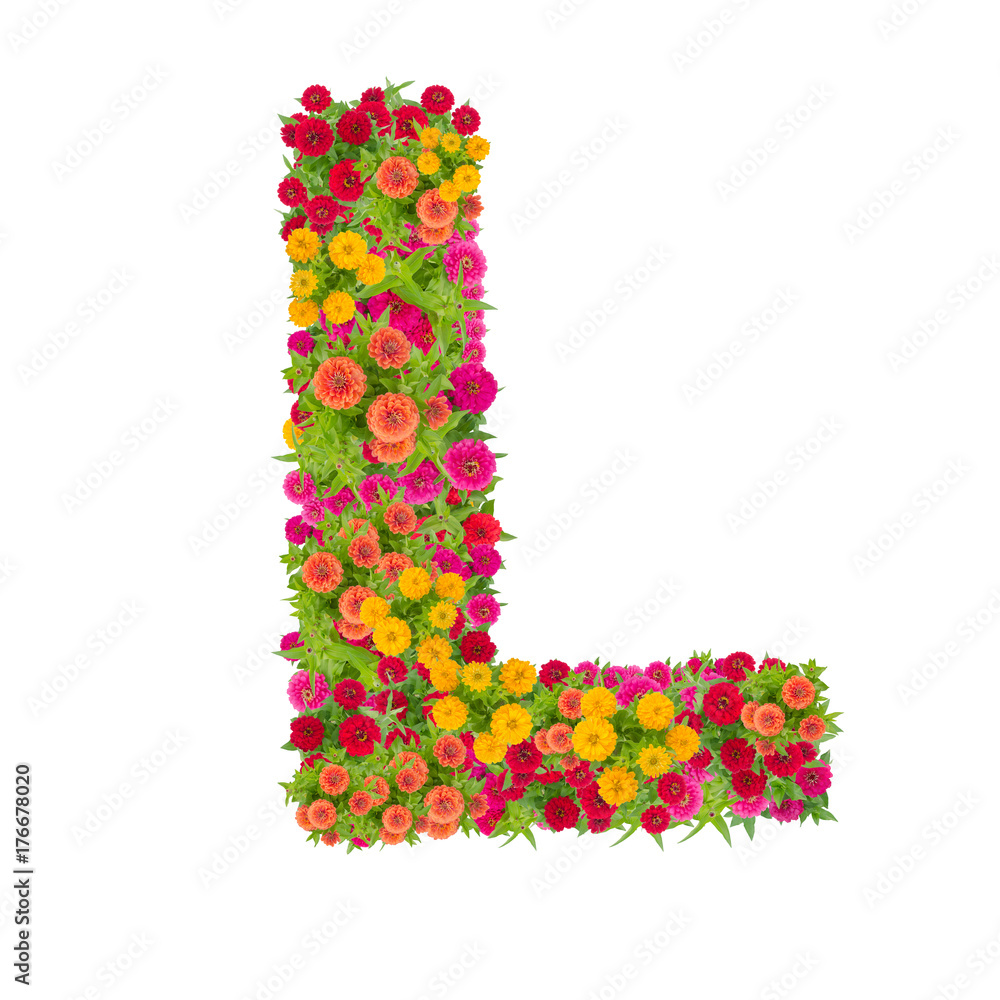 Detail What Letter Is L In The Alphabet Nomer 20
