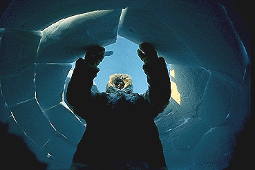 Detail What Was Used To Heat Igloos Nomer 40