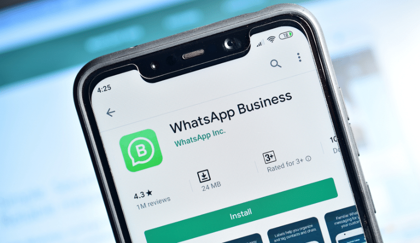 Detail Whatsapp Business Png Nomer 10