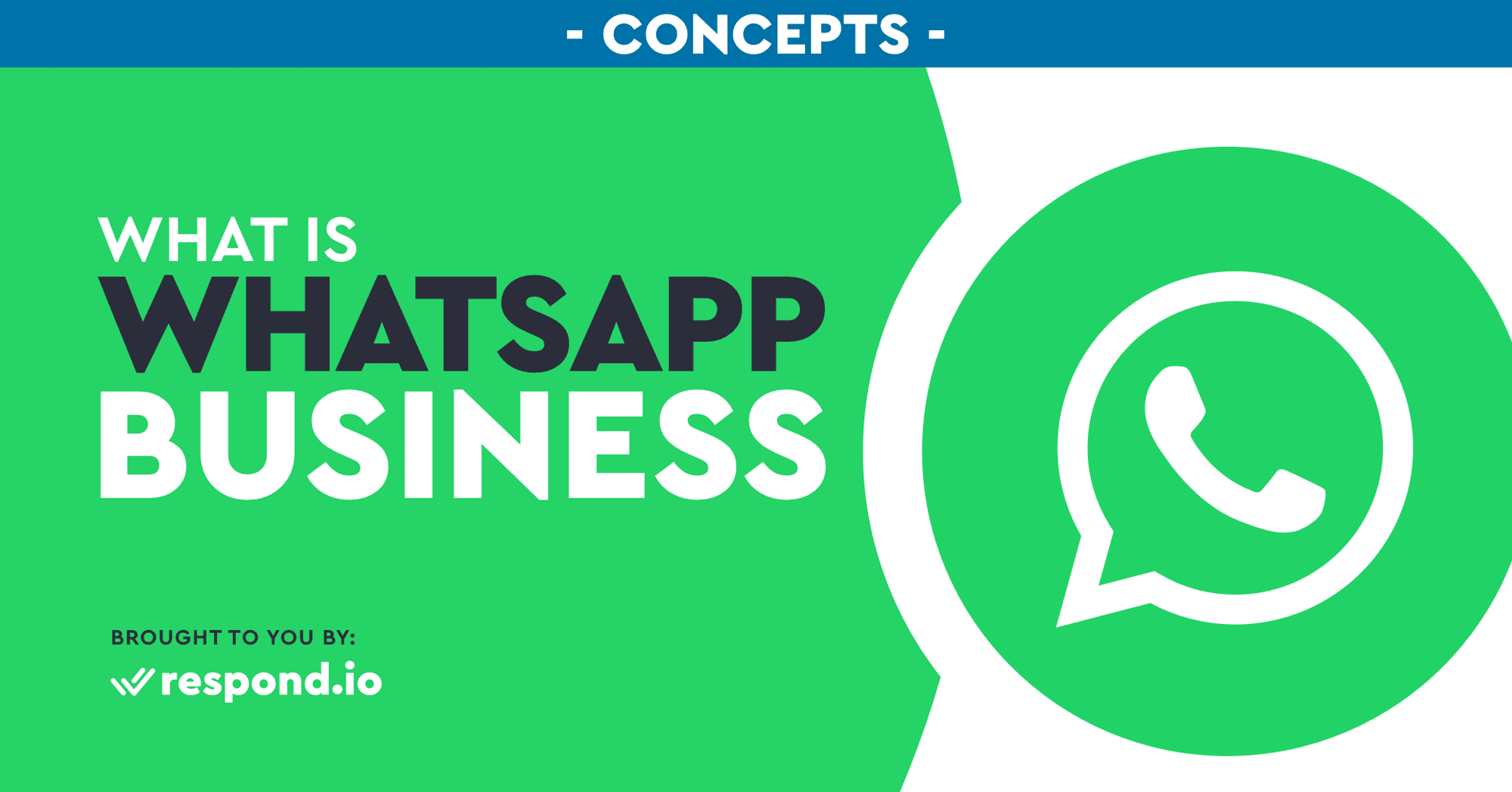 Detail Whatsapp Business Png Nomer 22