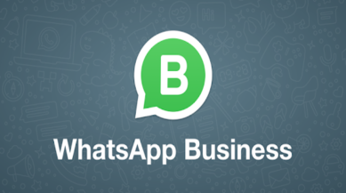 Detail Whatsapp Business Png Nomer 25