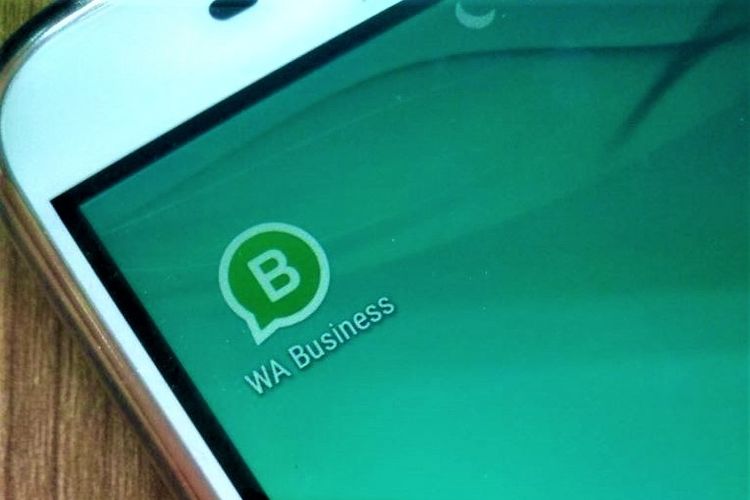 Detail Whatsapp Hijau Nomer 13