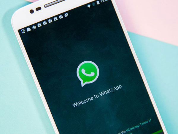 Detail Whatsapp Hijau Nomer 6