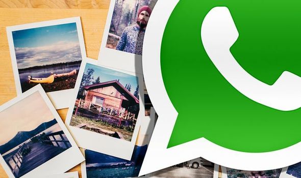 Detail Whatsapp Images Download Nomer 28